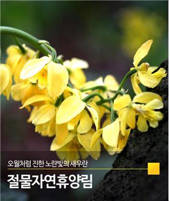 %EC%A0%88%EB%AC%BC%EC%9E%90%EC%97%B0%ED%9C%B4%EC%96%91%EB%A6%BC_2017041917398.jpg