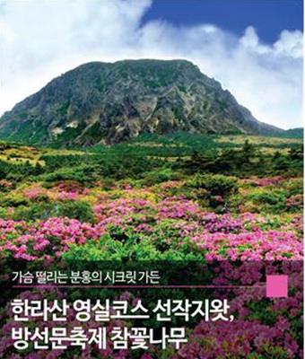 %ED%95%9C%EB%9D%BC%EC%82%B0%EC%98%81%EC%8B%A4%EC%BD%94%EC%8A%A4_20170419172722.jpg